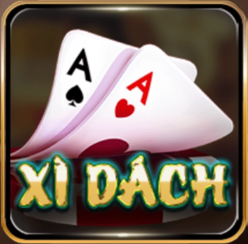 xi dach yo88 1